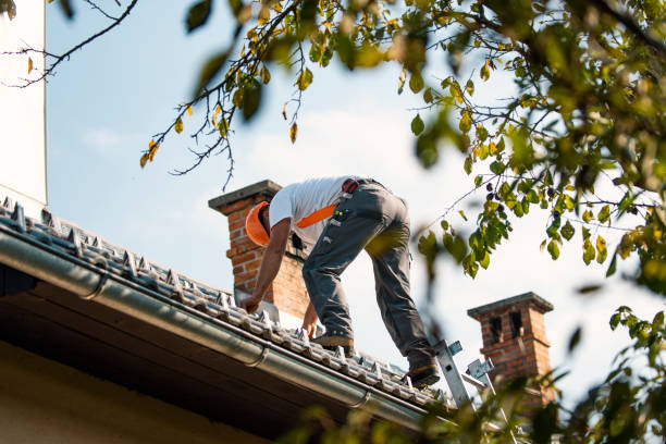 Best Flat Roof Repair Services  in El Cerrito, CA