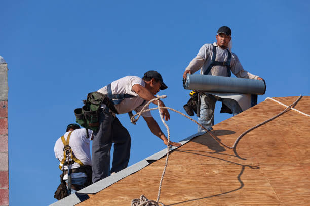 Best Roof Maintenance Services  in El Cerrito, CA